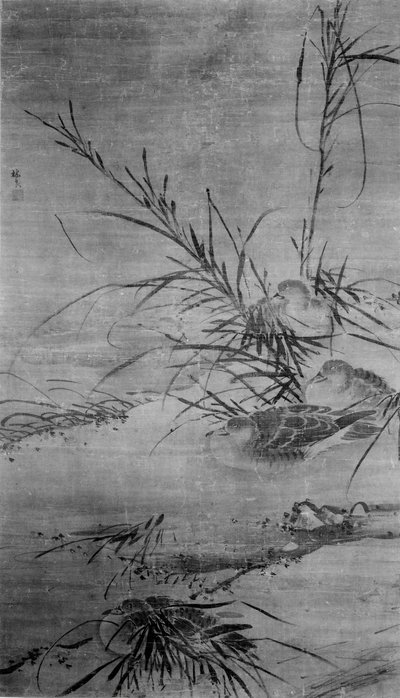 アヒルと葦。 作： After Lin Liang