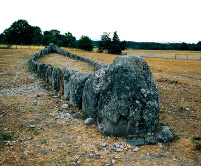 船の形をした石の整列、ガナルベの先史時代の墓。青銅器時代。Dim 5x29 m ヴィスビー、スウェーデン 作： Age Bronze