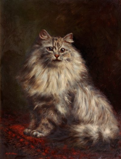ペルシャ猫、c.1908-20 作： Agnes Augusta Talboys