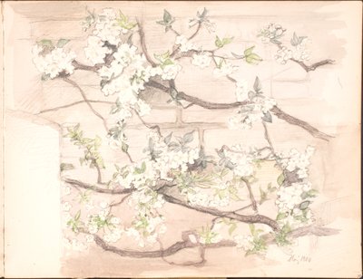 スケッチブック。 1899年7月 - 1901年6月 作： Agnes Slott Møller