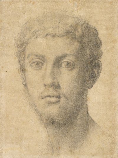 男の頭 作： Agnolo Bronzino
