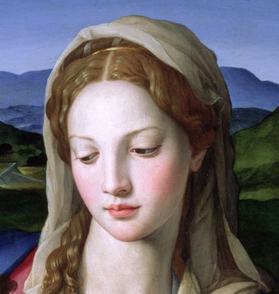 聖アンナと洗礼者聖ヨハネとの聖家族、c.1550油彩82824のパネルの詳細 作： Agnolo Bronzino