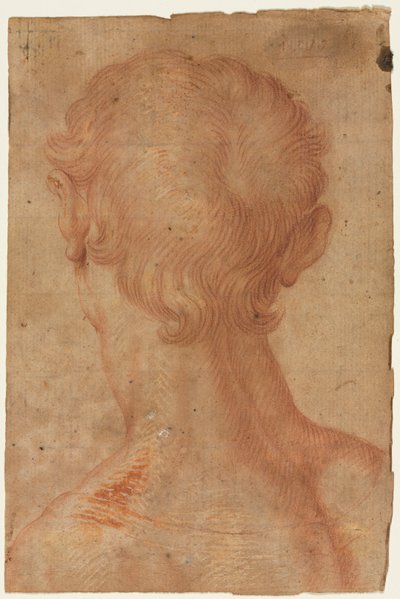  作： Agnolo Bronzino