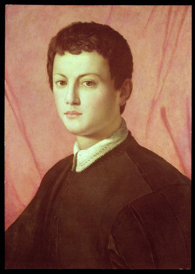 若い男の肖像（パネル） 作： Agnolo Bronzino