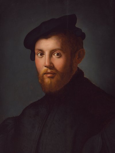 本を持つ若者の肖像 作： Agnolo Bronzino