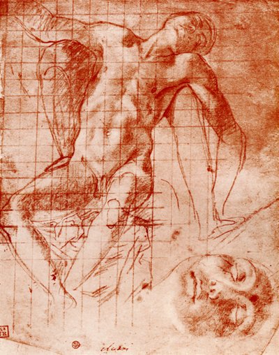 研究、1913。 作： Agnolo Bronzino
