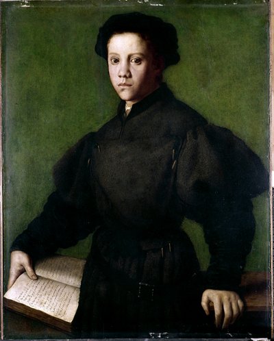 少年の肖像 作： Agnolo di Cosimo Bronzino