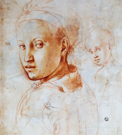 若い女性の頭 アグノロ・ブロンズィーノ（1503-1572）作 イタリア、デッサン 作： Jacopo Pontormo