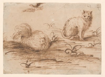 猫と設定編 作： Agostino Carracci