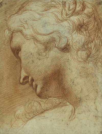 右肩を見下ろす若い女性の頭部（紙に赤チョーク 作： Agostino Carracci