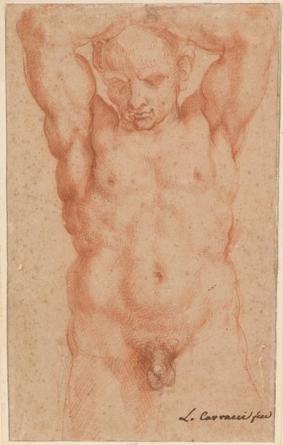 男性ヌード 作： Agostino Carracci