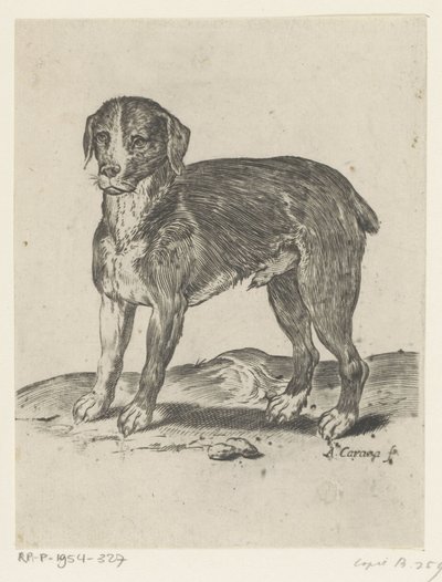 立ち犬 作： Agostino Carracci