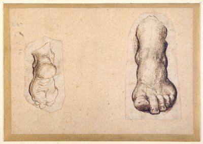 縮小された足の2つの習作（紙にペンとインク 作： Agostino Carracci