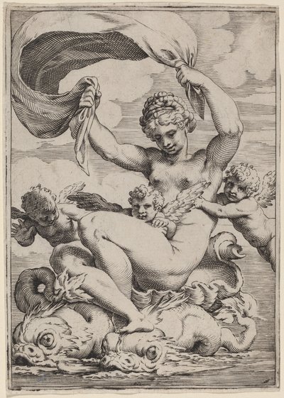 イルカに支えられた金星またはガラテア 作： Agostino Carracci