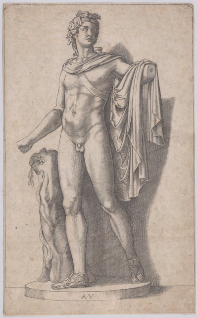 アポロ、カリフォルニア州。 1514-36。 作： Agostino Veneziano