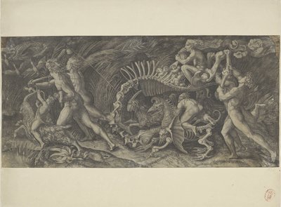 ヘット・カルカス 私は彼を絞る 作： Agostino Veneziano
