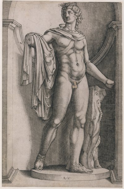 ローマの素晴らしさの鏡: アポロ ベルヴェデーレ、ca. 1514-36年頃。 1514-36。 作： Agostino Veneziano