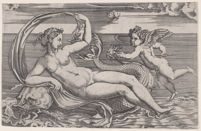 イルカに横たわるヴィーナス、約。 1516年。 作： Agostino Veneziano