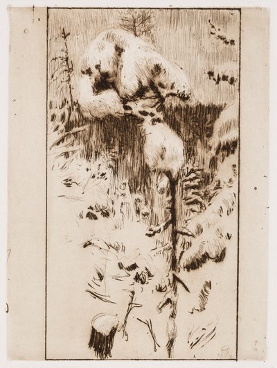  作： Akseli Gallen-Kallela