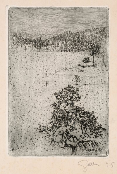  作： Akseli Gallen-Kallela