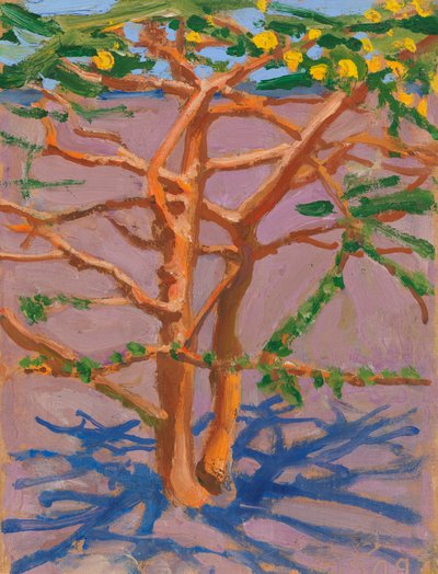  作： Akseli Valdemar Gallen-Kallela