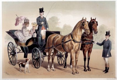 アングロ・ノルマンディーの馬を乗せた馬車 アルバート・アダム（1833～）の版画 19世紀 パリ、カルナヴァレ美術館蔵 作： Albert Adam