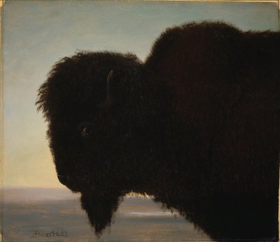 バッファローヘッド 作： Albert Bierstadt