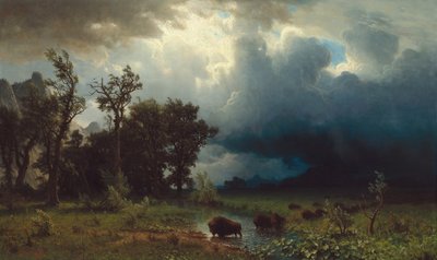 バッファロー トレイル: 差し迫った嵐、1869 年。 作： Albert Bierstadt