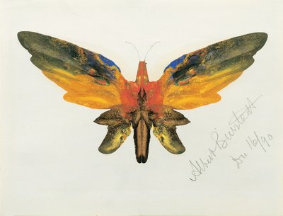 蝶、1890 作： Albert Bierstadt