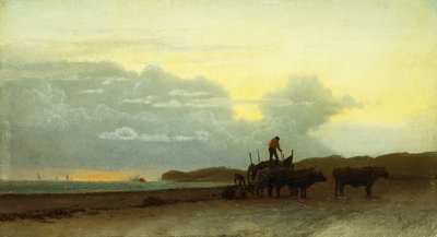 沿岸ビュー、ニューポート、1861 作： Albert Bierstadt