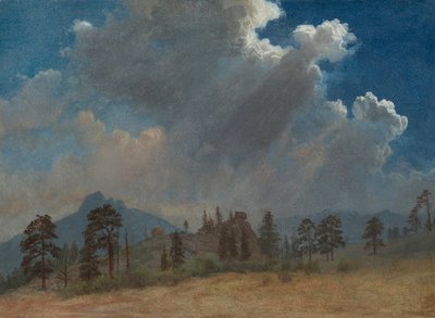 モミの木と嵐の雲、c。 1870。 作： Albert Bierstadt