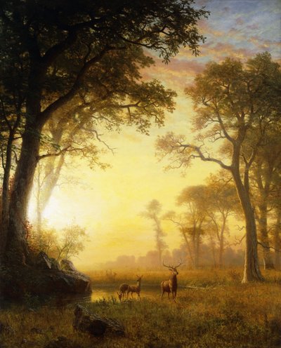 森の中の光、 作： Albert Bierstadt