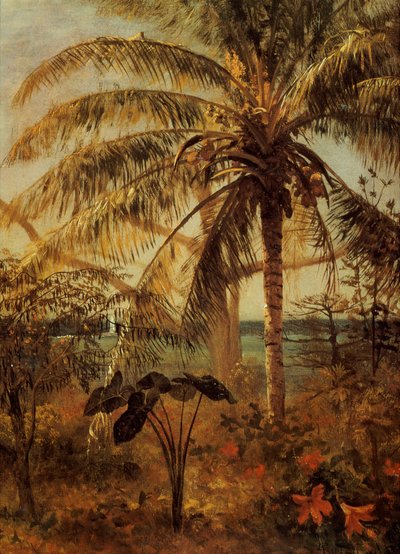 ヤシの木、ナッソー、1892年 作： Albert Bierstadt