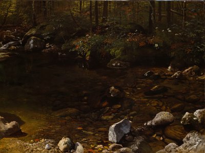 日陰のプール、ホワイト マウンテンズ、ニューハンプシャー州、c. 1869年。 作： Albert Bierstadt
