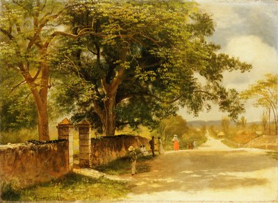 ナッソーのストリート、1878年頃 作： Albert Bierstadt