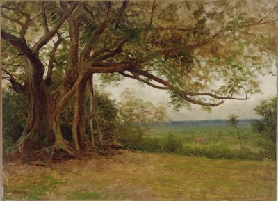 「コロンブスの着陸」のための研究、1892 作： Albert Bierstadt