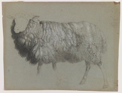 羊の研究、1855年頃（灰緑色の紙に黒鉛、クレヨン、チョーク） 作： Albert Bierstadt