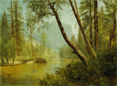 太陽に照らされた森 作： Albert Bierstadt