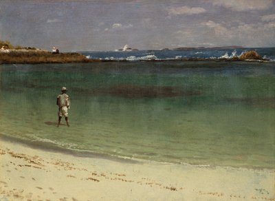 西インド諸島の海岸風景 1880-93年頃（油彩、紙、ファイバーボード） 作： アルバートビアシュタット