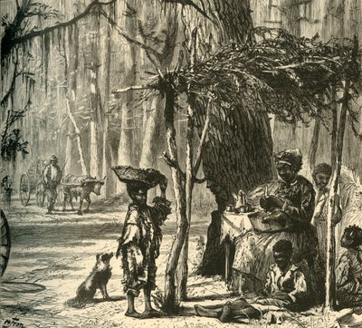 「チャールストン近くの道端の情景」、1872 年。 作： Albert Bobbett