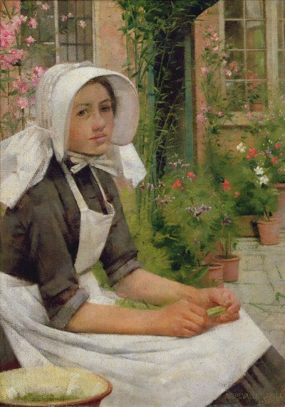 エンドウ豆を砲撃する少女 作： Albert Chevallier Tayler