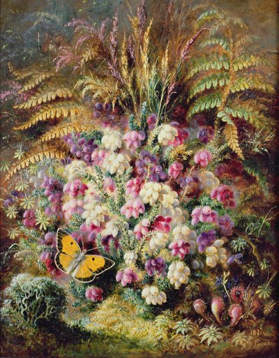ベルヘザー、1877年 作： Albert Durer Lucas