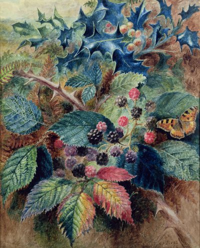 ブラックベリーと蝶とホリー 作： Albert Durer Lucas