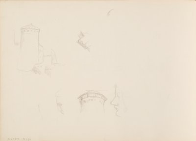 植物のデザイン、サヴォンリンナ・タワー 作： Albert Edelfelt