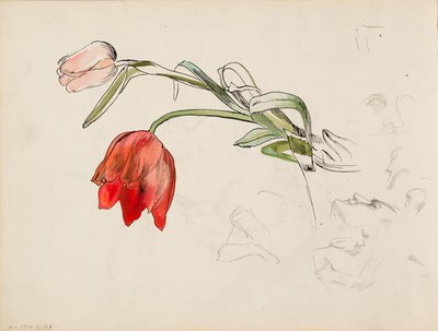 チューリップ、顔の研究論文 作： Albert Edelfelt