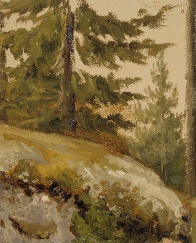  作： Albert Edelfelt