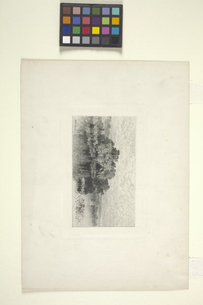 湖のある風景（インク） 作： Albert Fitch Bellows