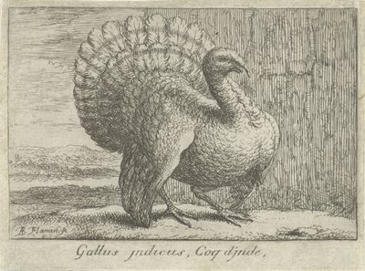 Landschap met kalkoen Gallus indicus、Coq d