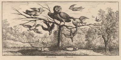 モネドゥラ、フクロウ 作： Albert Flamen