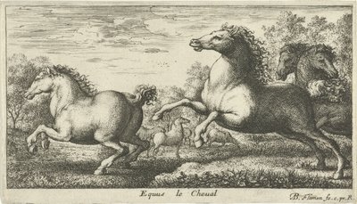 馬 Equus le Cheval (オブジェクトのタイトル) さまざまな動物の種 (シリーズ タイトル) 作： Albert Flamen